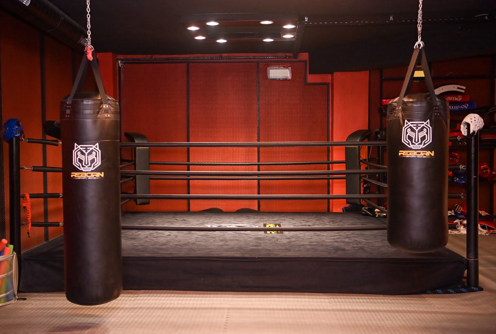 Reborn Sport Zone ring alanı